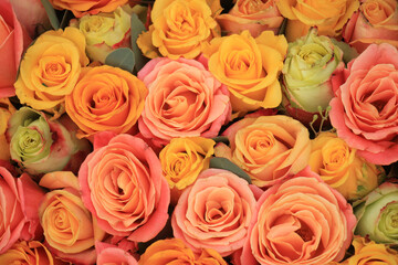 Yellow and orange roses