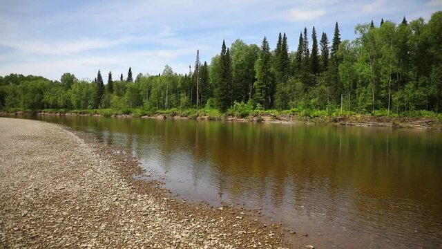 River Taidon flowing through the taiga forests in South Siberia, Russia