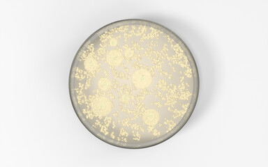 The germs in the petri dish, 3d rendering.