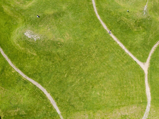 Path among the green grass. Aerial drone view.