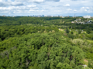 Fototapeta na wymiar Green forest in summer. Aerial drone view.