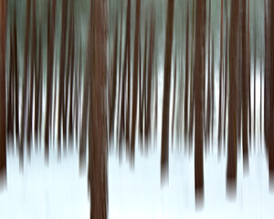 Forest trees in a snowy landscape - Winter woodland creative blur.