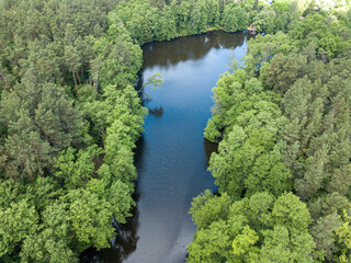 Fototapeta premium Stream among green trees in spring. Aerial drone view.