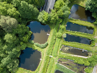 Fish farm ponds. Aerial drone view.