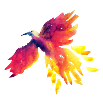 Firebird watercolor illustration isolated on white