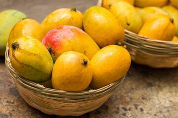 selective focus of ripe mangoes.