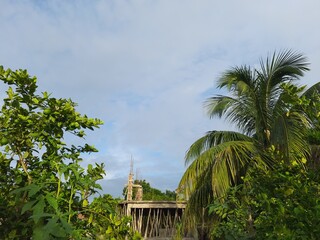 Fototapeta na wymiar tropical resort with palm trees