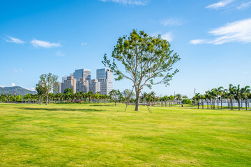 Large Lawn, Qianhai Performing Arts Park, Shenzhen, China