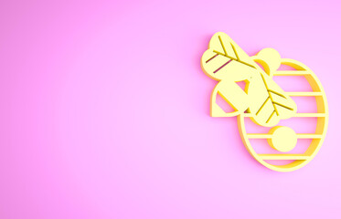 Yellow Hive for bees icon isolated on pink background. Beehive symbol. Apiary and beekeeping. Sweet natural food. Minimalism concept. 3d illustration 3D render