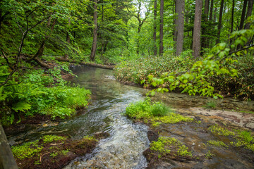 Naklejka premium 長野県 新緑の上高地 