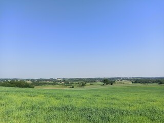 field and sky