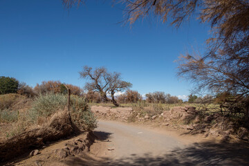 Calles De San Pedro de Atacama - Chile