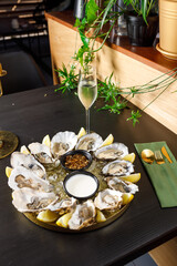open fresh oysters on a metal plate in ice on a concrete background