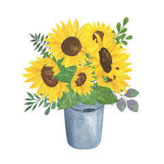 Bucket of sunflowers, leaves watercolor illustration, floral composition, field agricultural plant summer bouquet, for greeting card, boho decor, wedding invitation template, holiday design