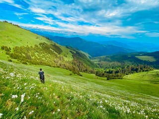 Tourist enjoying a beautiful view over the mountains, meadow full of daffodils, white flowers in a wild place