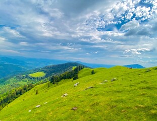 Fototapeta na wymiar Beautiful pasture in the Carpathian Mountains in Europe, horses in the background enjoying the peaceful place