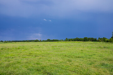 Field and sky before a thunderstorm