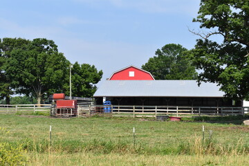 Farm with Barns in a Pasture