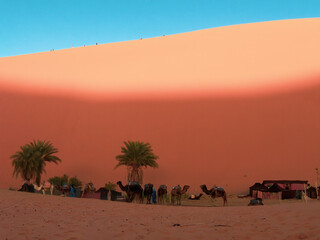 Camp with tents and camels in the Moroccan Sahara desert