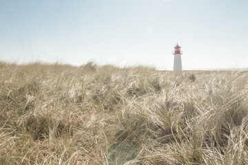 lighthouse List West on the coast of the island Sylt on a sunny summer day