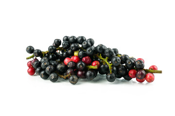 Antidesma puncticulatum Miq, Thai Blueberry Fruit (Mamao) isolated on white background.Can be extracted into medicine and wine Growing in the Northeast of Thailand.