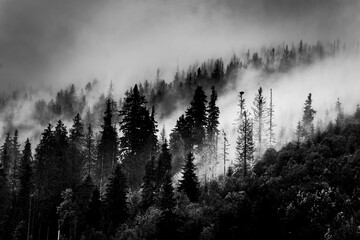 landscape photo of fog in the mountains in black and white