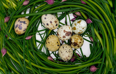 Green onions with pink buds are laid out in the form of a nest, in which quail eggs lie. Organic...