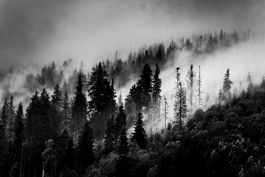 landscape photo of fog in the mountains in black and white