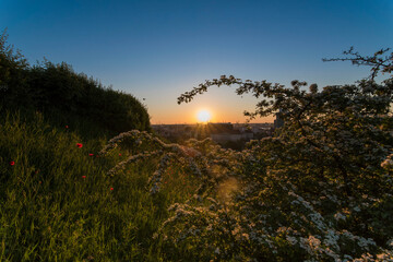 sunset over the field