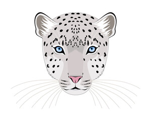 ユキヒョウ　顔