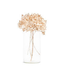 dried flowers in a glass vase isolated on a white background