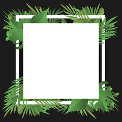 Background  palm leaves with white paper for text  , isolated on black background , illustration Vector EPS 10