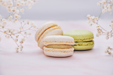 White and green macaroons side view