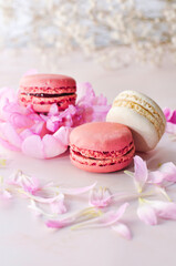 Beauty macaroons with petals and flowers