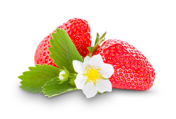 Two strawberries on a white background, flowering strawberries, strawberry isolate	
