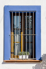 Window with bars and flowers on a blue facade