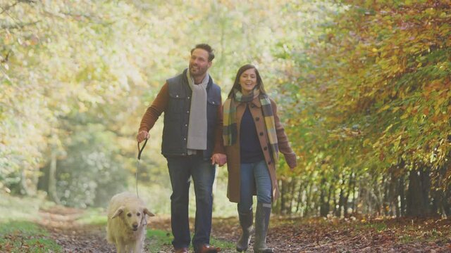 Couple take pet Golden Retriever dog for walk on track on autumn countryside holding hands - shot in slow motion