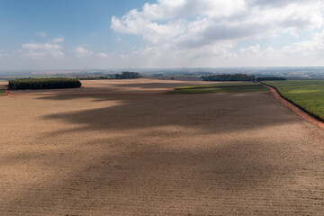 Plowed land covered with straw and ready to receive new planting