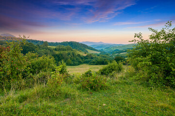 Fototapeta na wymiar carpathian mountain countryside at sunrise. beautiful rural landscape in summertime with forested hills and grassy pastures in morning light. high peak in the distance
