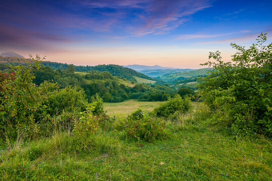 carpathian mountain countryside at sunrise. beautiful rural landscape in summertime with forested hills and grassy pastures in morning light. high peak in the distance