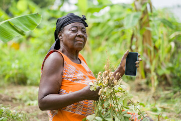 portrait of of aged black woman holding smart phone and uprooted plant- agricultural concept