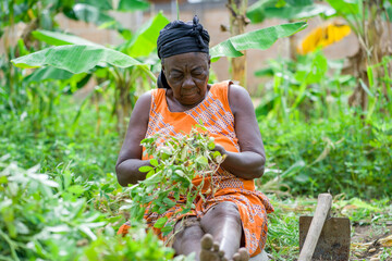 landscape view of african woman with uprooted plant sitting on the ground- farming concept