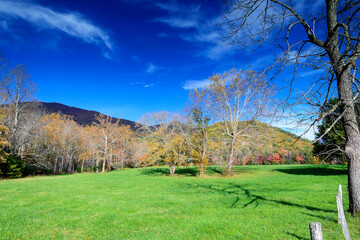 Obraz premium Blue Skies at Cades Cove