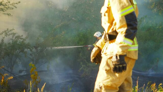 wildland firefighter working, wild fire close up authentic real video. forest service, environment, ecology. forest fire, wildfire, firemen extinguish fire, burning grass and bushes close up.
