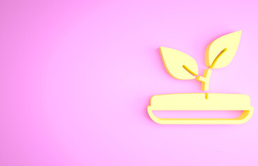 Yellow Sprout icon isolated on pink background. Seed and seedling. Leaves sign. Leaf nature. Minimalism concept. 3d illustration 3D render