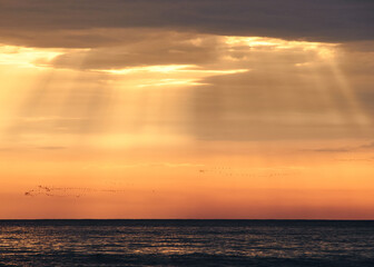 A simple sunset over the ocean with some flocks of birds in the distance