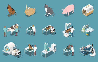 Veterinary Clinic Isometric Set