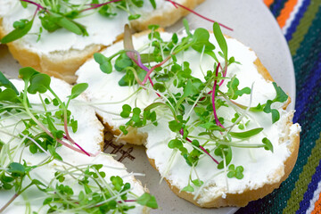 Mustard microgreens and cream cheese breakfast. A sandwich with soft cheese and mustard and beetroot sprouts on a plate.
