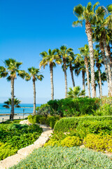 Fototapeta premium Beautiful green park on the shores of the Mediterranean Sea, Limassol, Cyprus