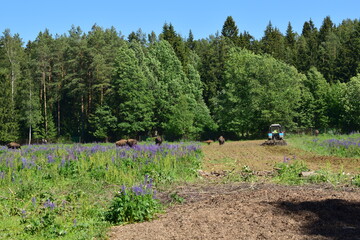 Fototapete bei efototapeten.de bestellen   